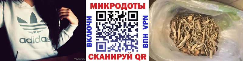 Галлюциногенные грибы MAGIC MUSHROOMS  Купить где  Одинцово 